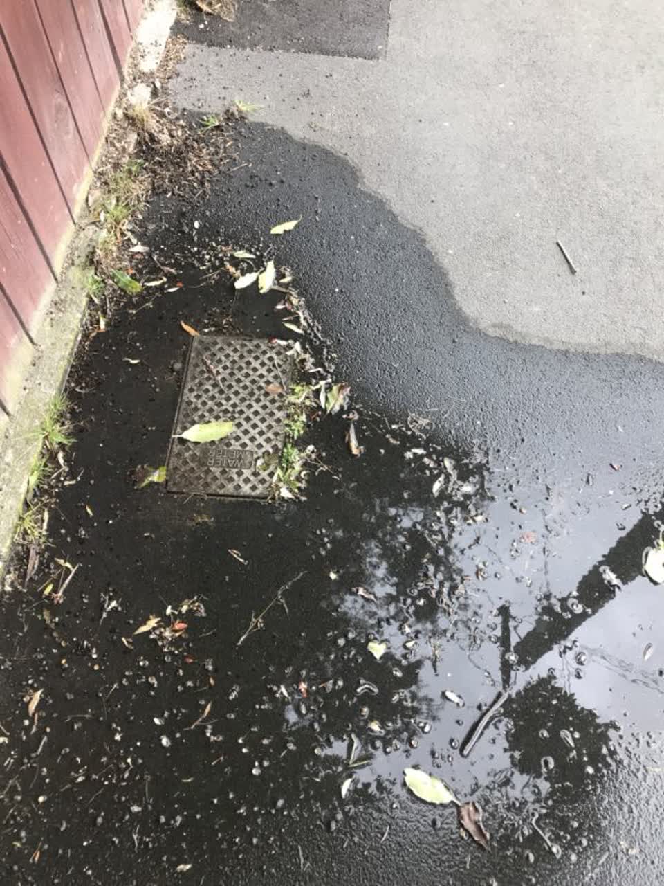 The photograph attached to this water general report