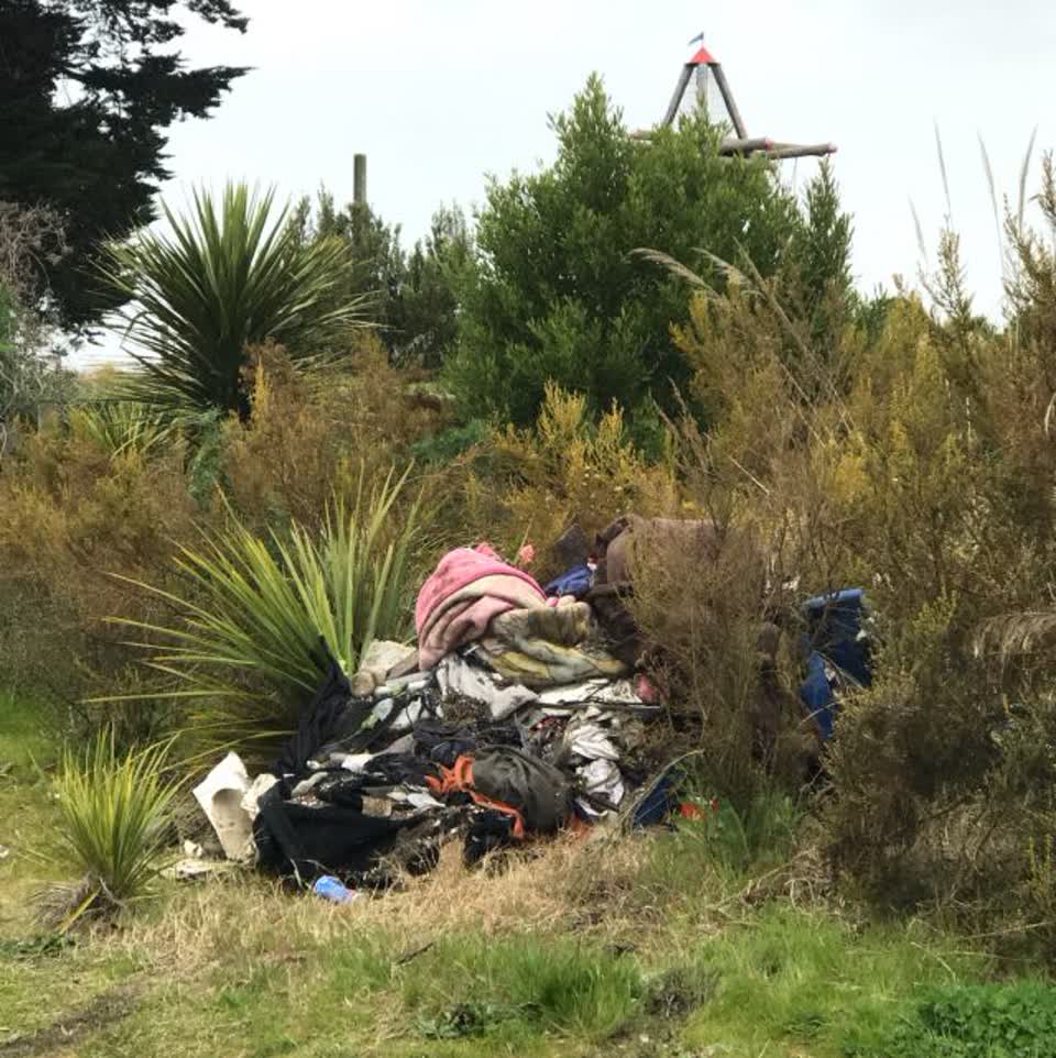 The photograph attached to this parks report