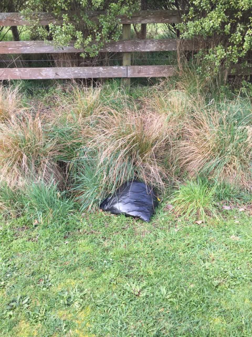 The photograph attached to this rubbish and bins - general report