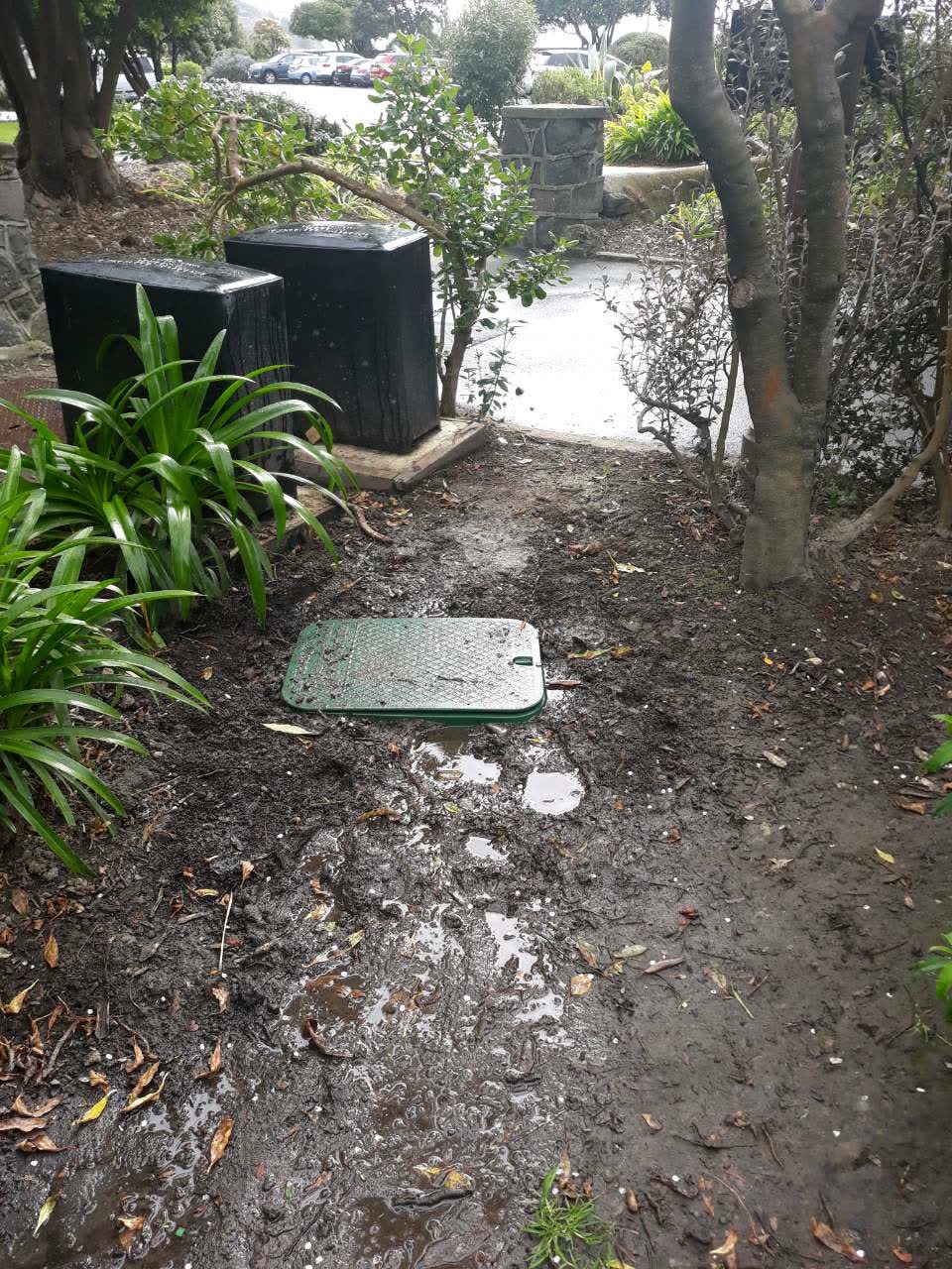 The photograph attached to this parks report