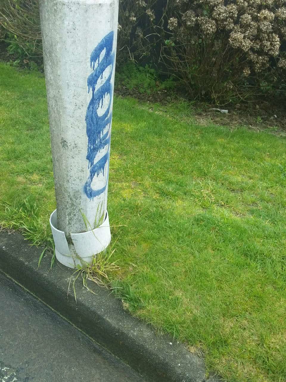 The photograph attached to this graffiti report