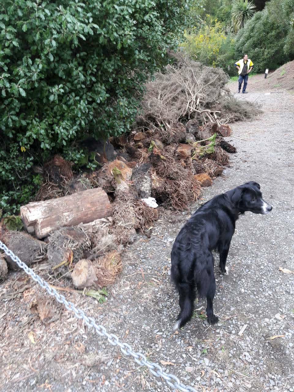 The photograph attached to this parks report
