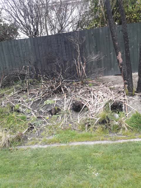 Parks, a report photo