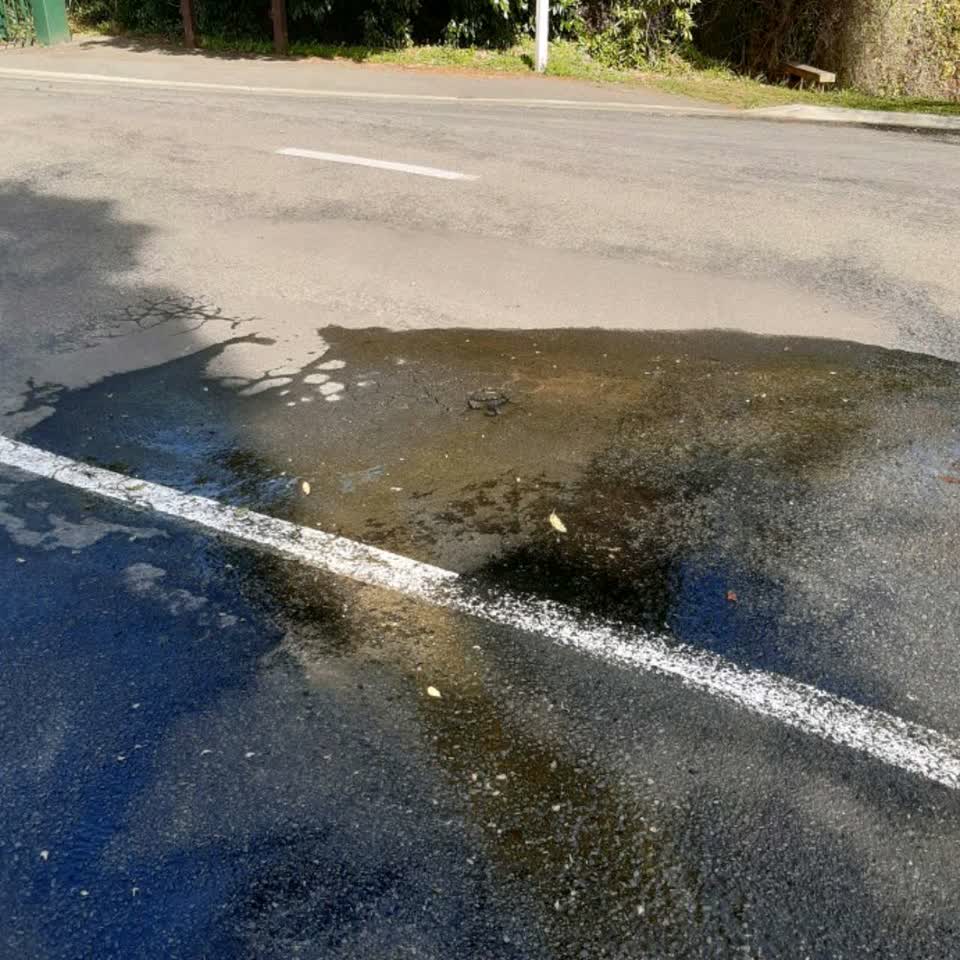 The photograph attached to this water general report