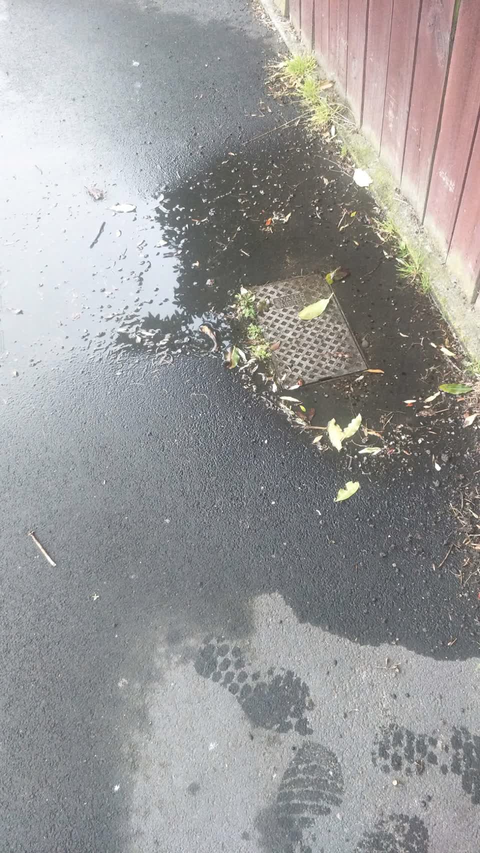 The photograph attached to this water general report