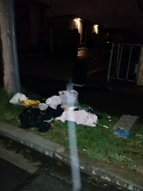 Rubbish and Bins - General — a report photo