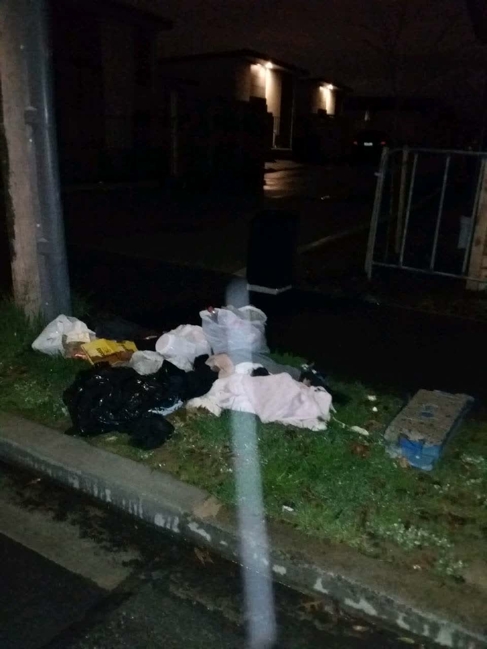 The photograph attached to this rubbish and bins - general report