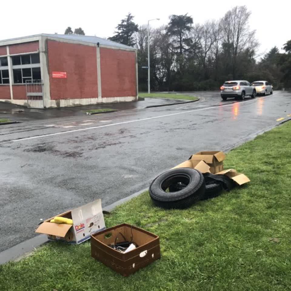 The photograph attached to this rubbish and bins - general report