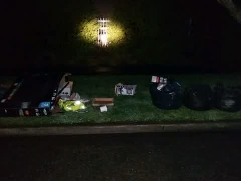 Rubbish and Bins - General, a report photo