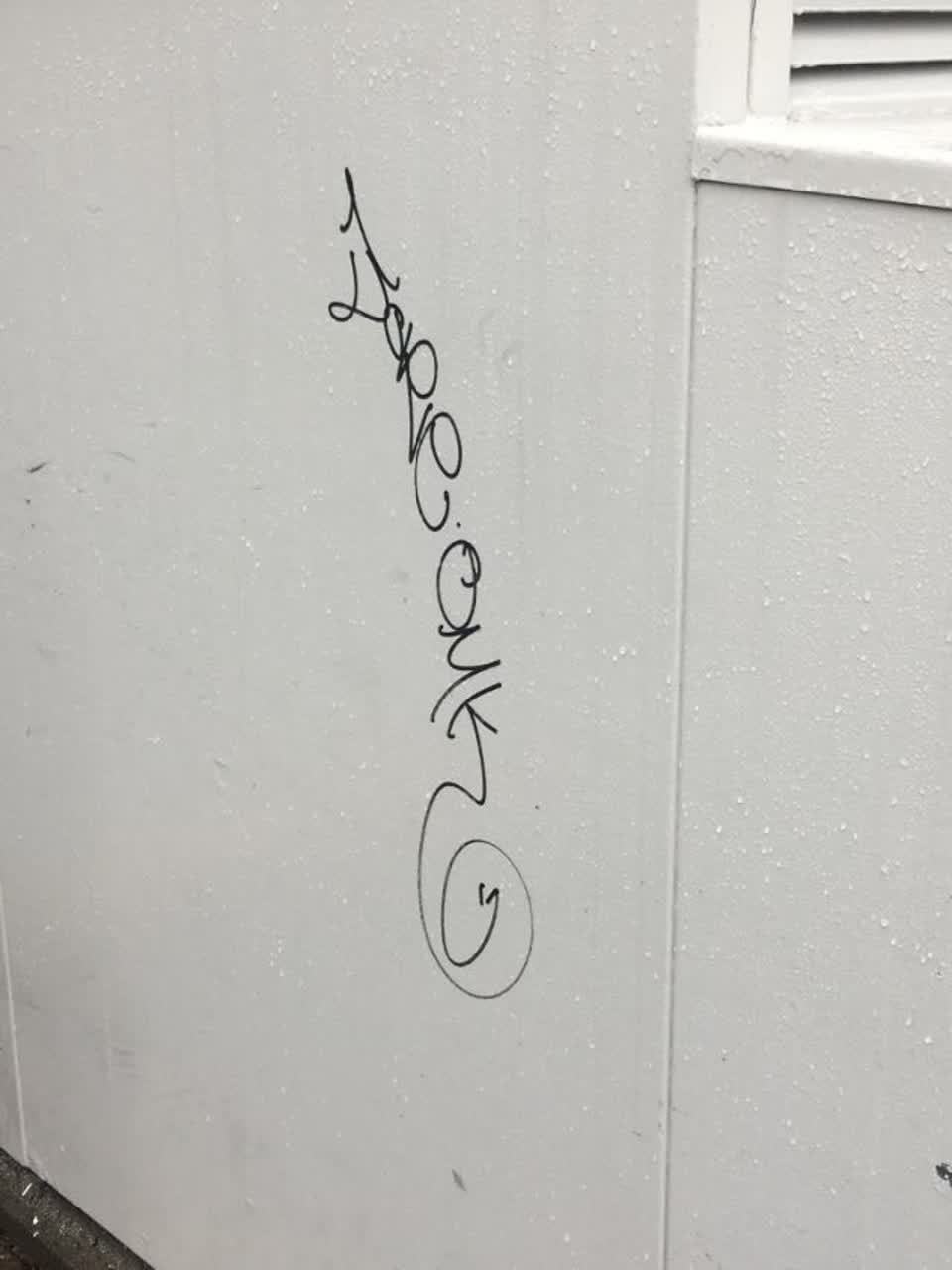The photograph attached to this graffiti report