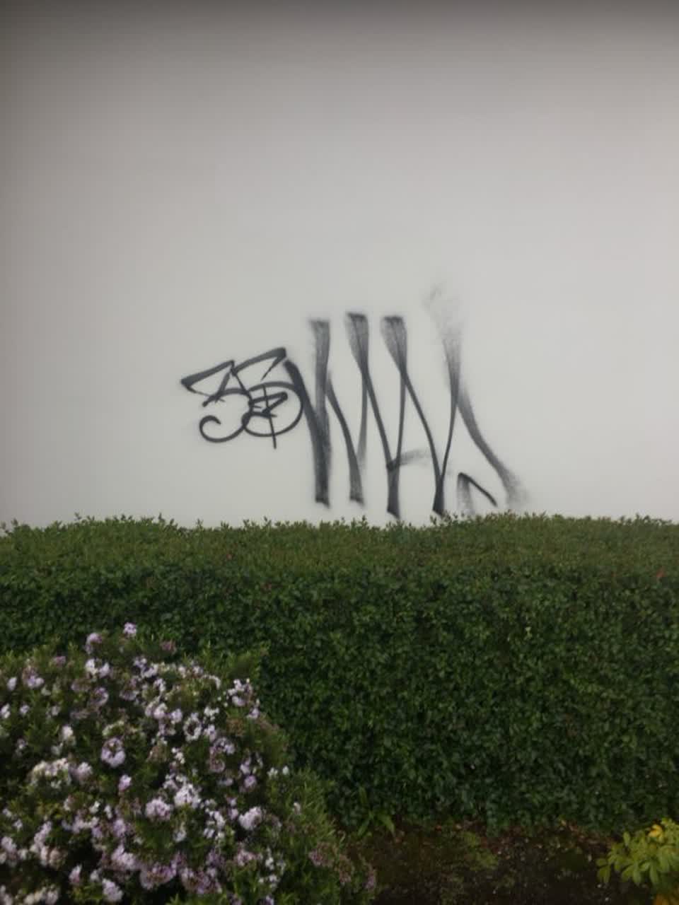 The photograph attached to this graffiti report