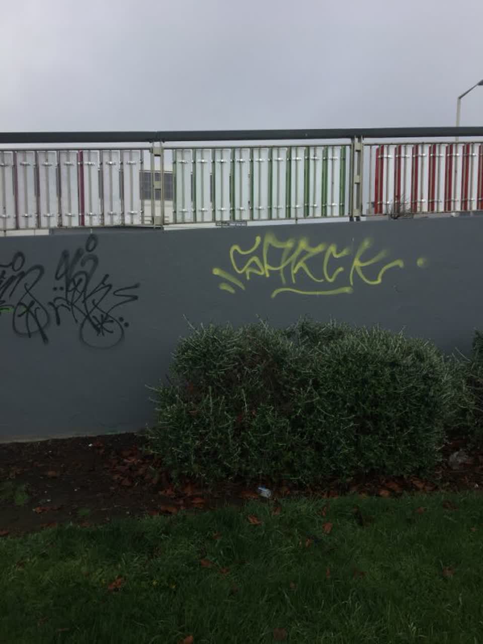 The photograph attached to this graffiti report