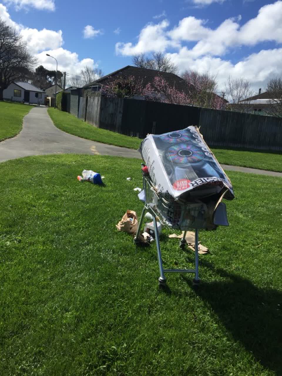 The photograph attached to this rubbish and bins - general report