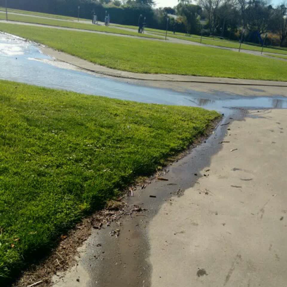 The photograph attached to this parks report