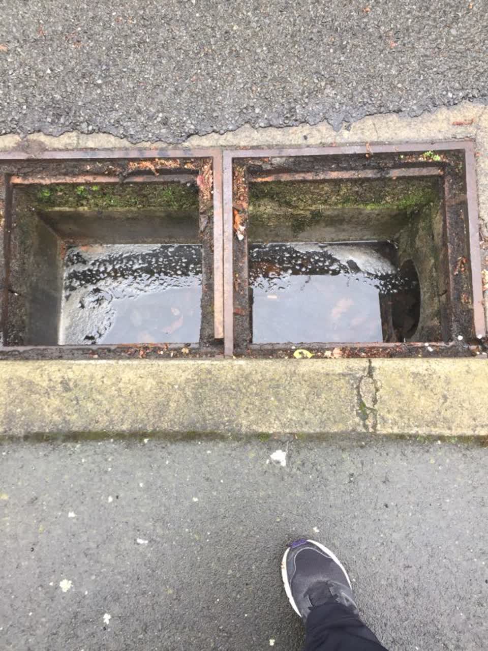 The photograph attached to this wastewater/stormwater report