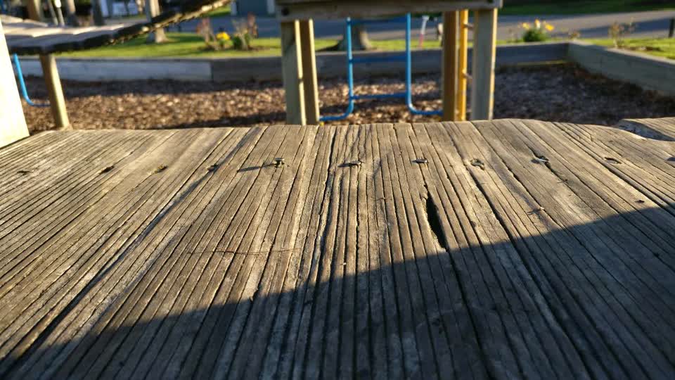 The photograph attached to this parks report