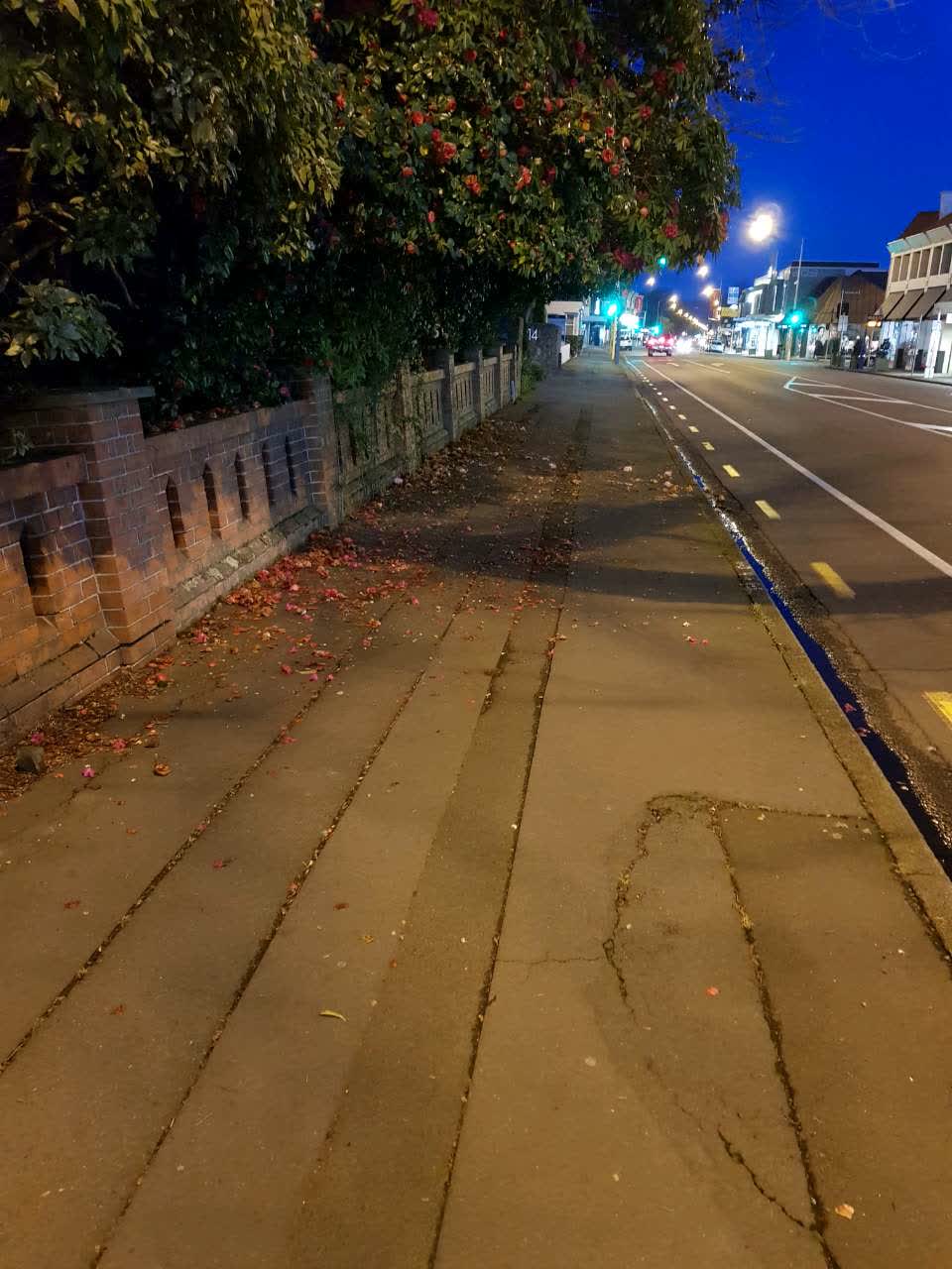 The photograph attached to this roading/streets report