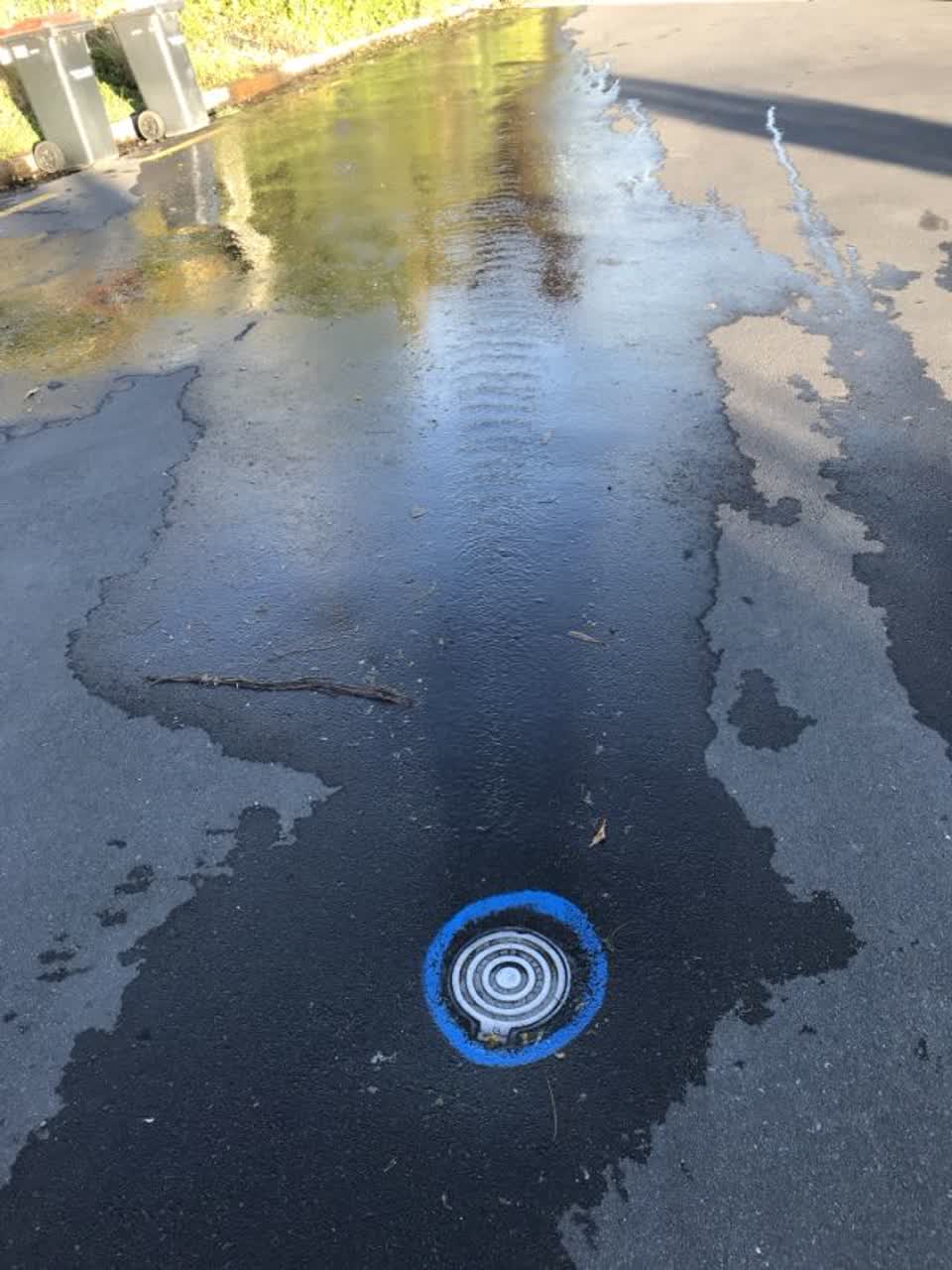 The photograph attached to this water general report