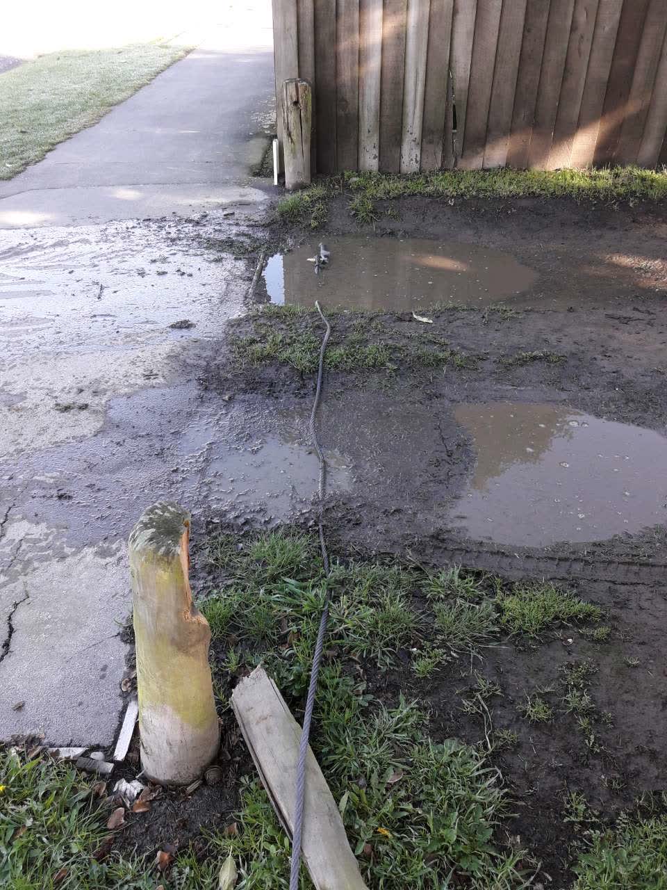 The photograph attached to this parks report