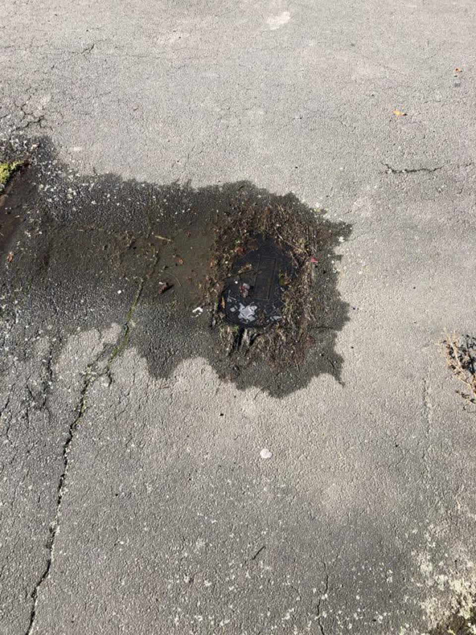 The photograph attached to this water general report