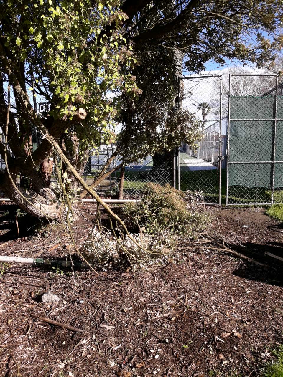The photograph attached to this parks report