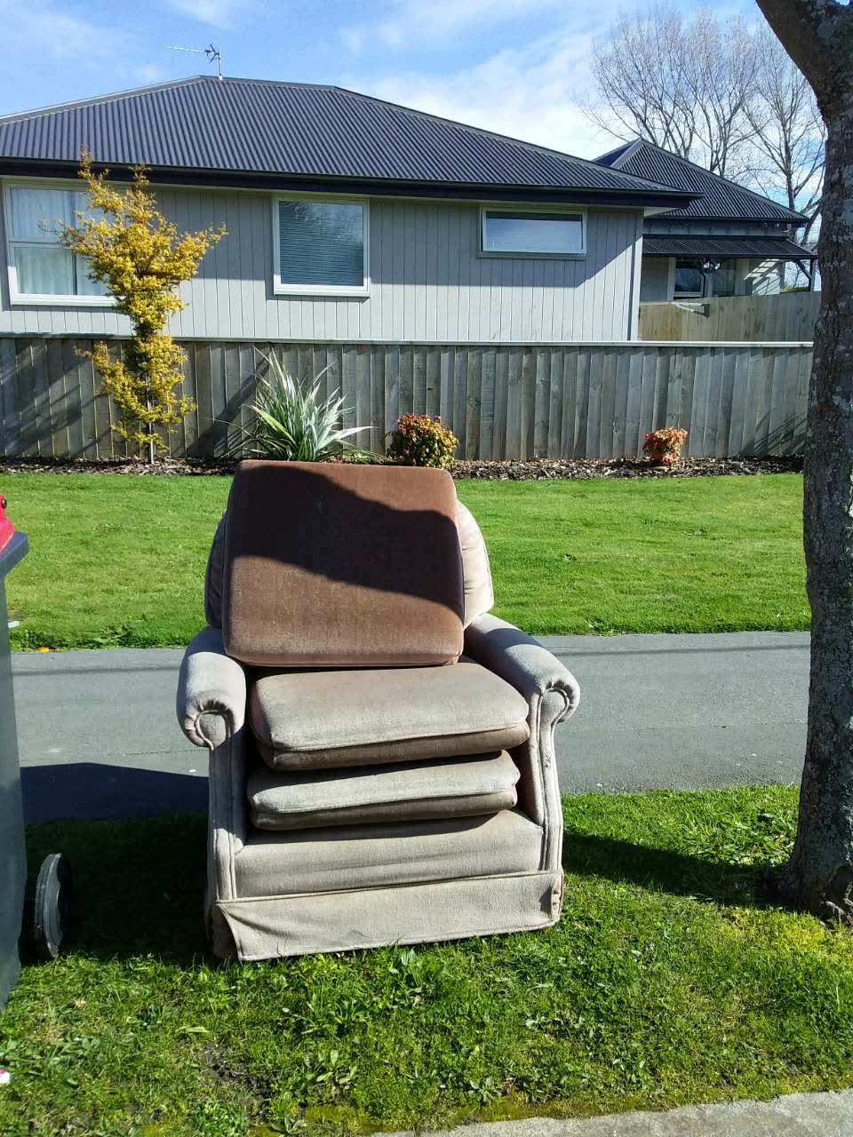 The photograph attached to this rubbish and bins - general report