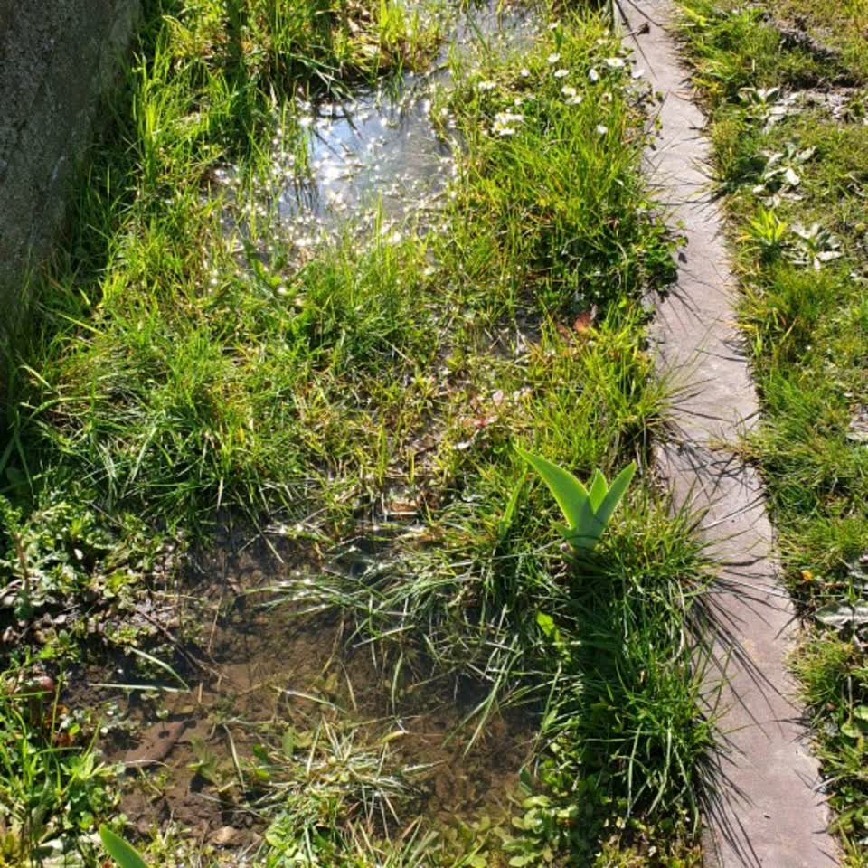 The photograph attached to this flooding report