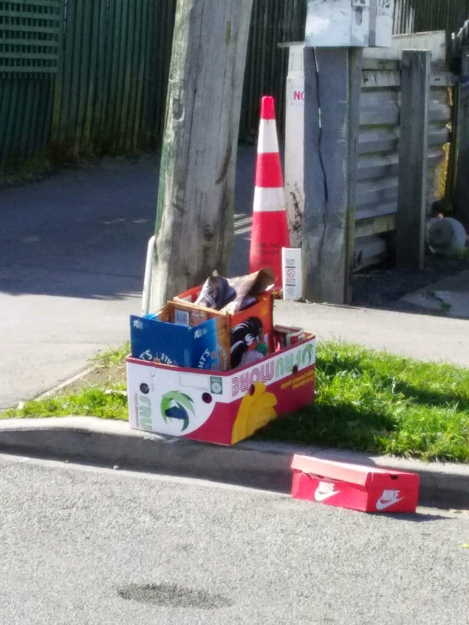 The photograph attached to this rubbish and bins - general report