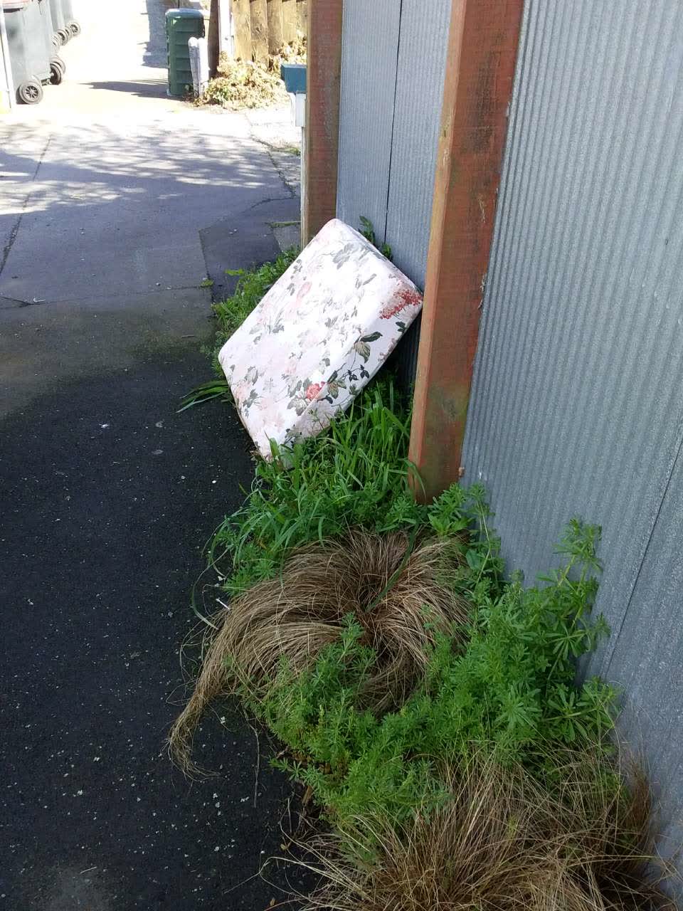 The photograph attached to this rubbish and bins - general report