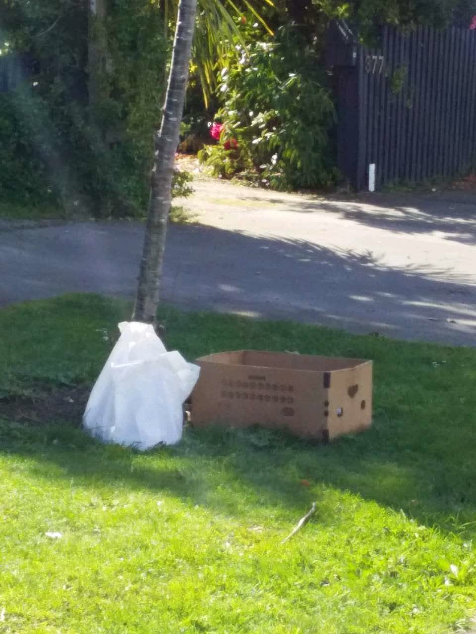 The photograph attached to this rubbish and bins - general report