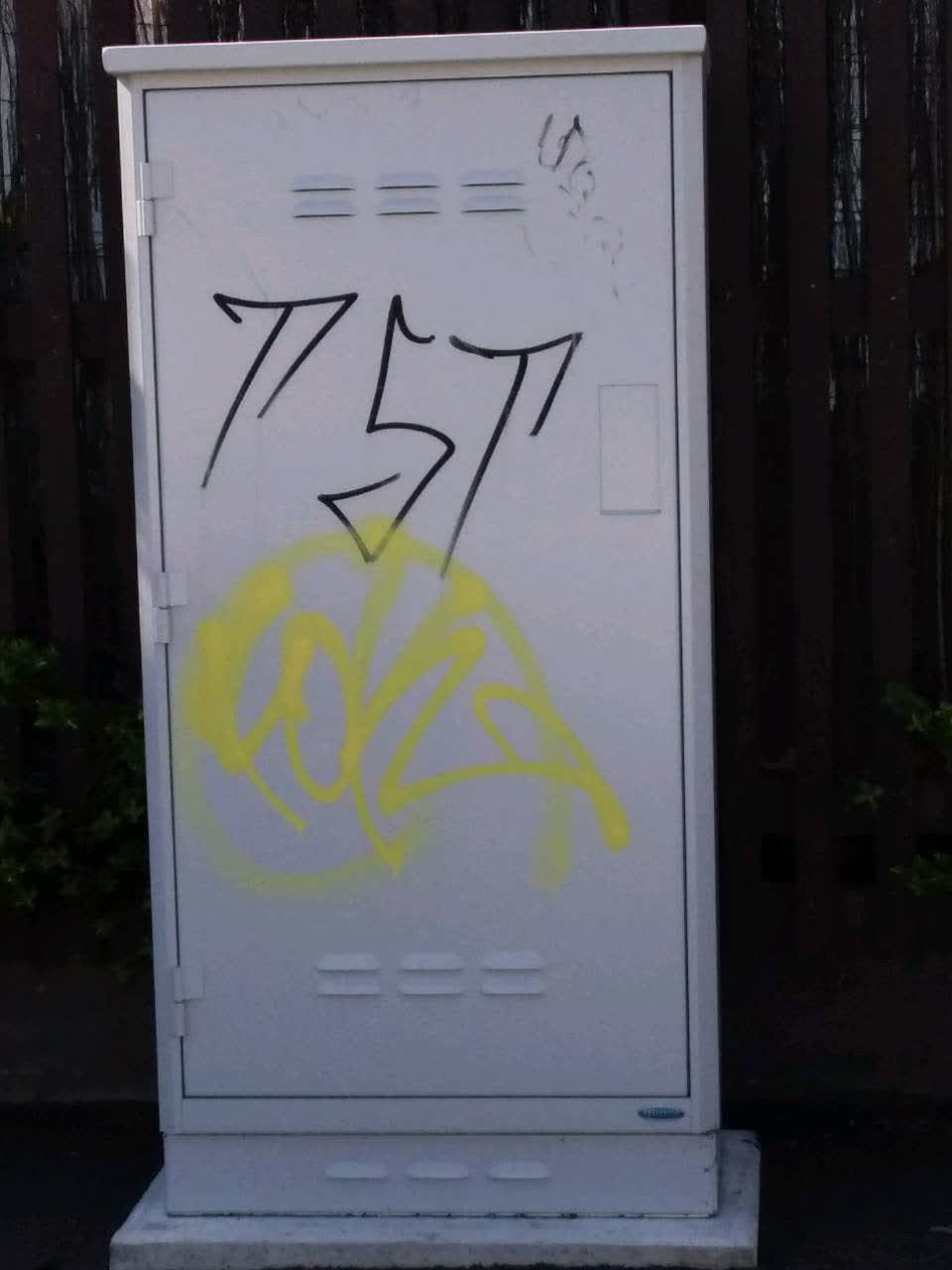 The photograph attached to this graffiti report