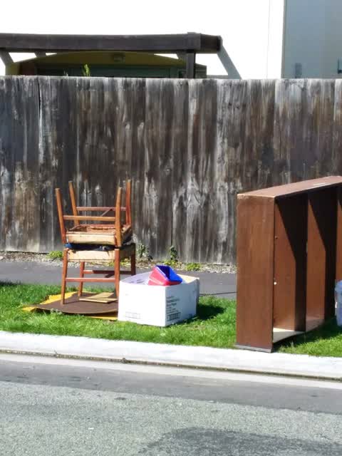 Rubbish and Bins - General, a report photo