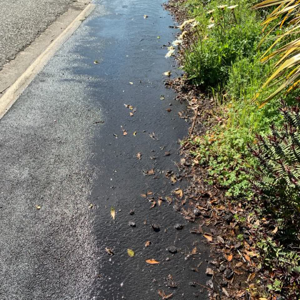 The photograph attached to this water general report
