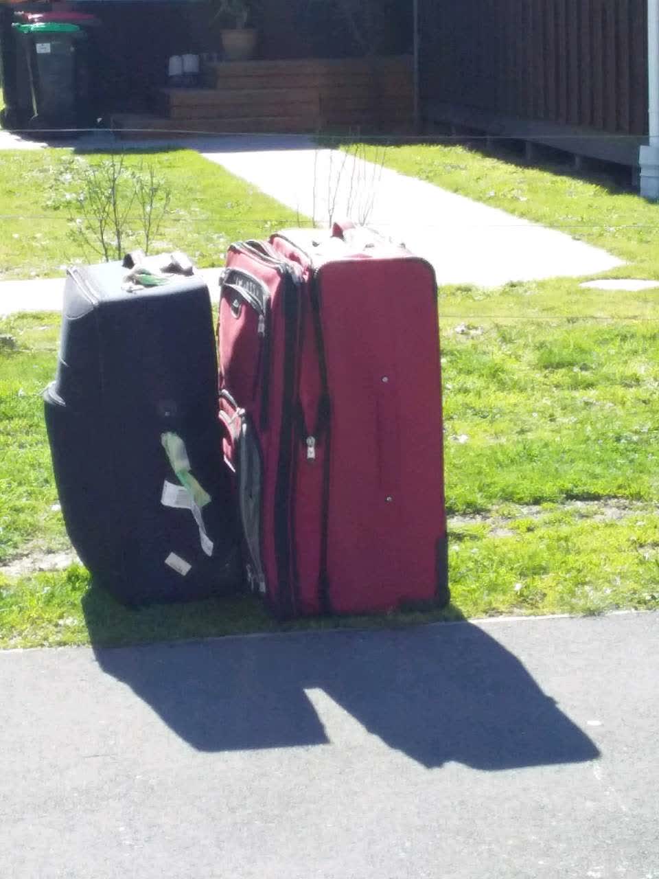 The photograph attached to this rubbish and bins - general report