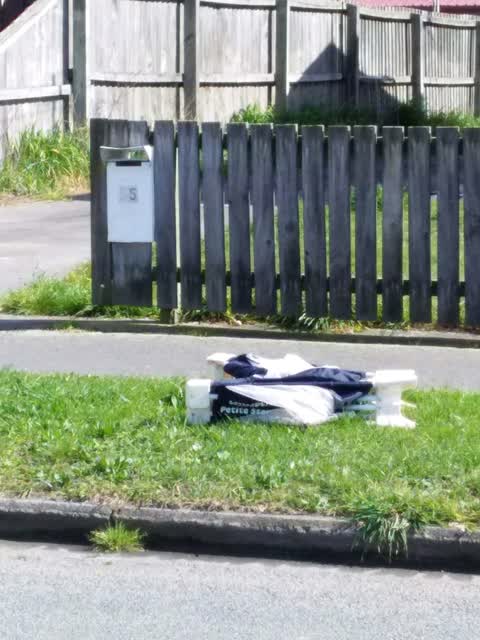 Rubbish and Bins - General, a report photo