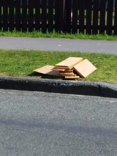 Rubbish and Bins - General, a report photo