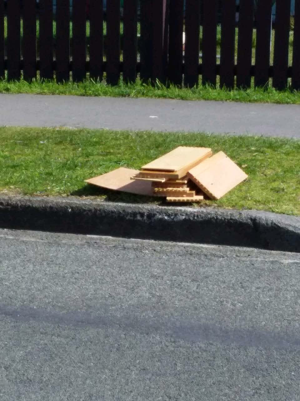 The photograph attached to this rubbish and bins - general report