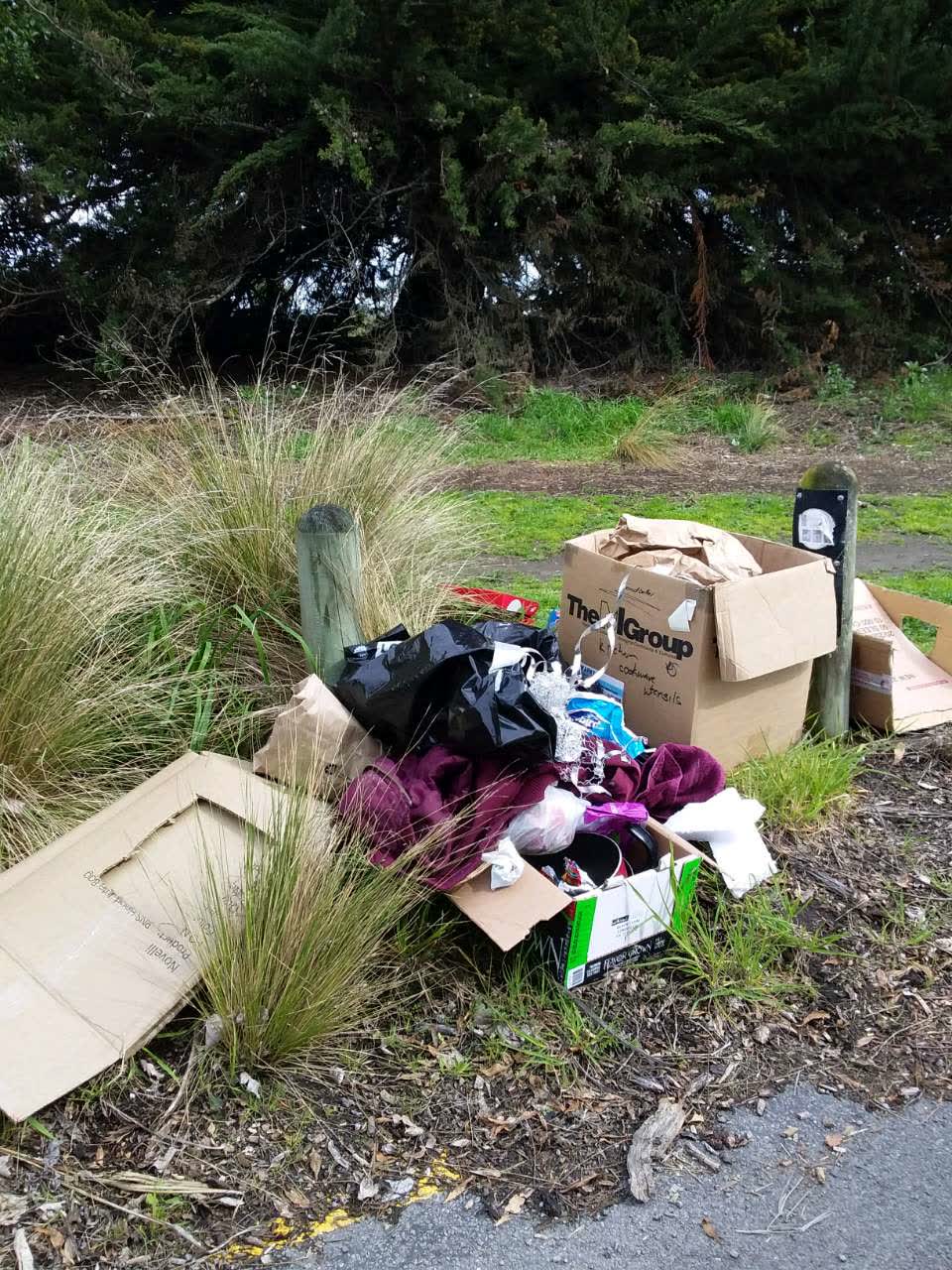 The photograph attached to this rubbish and bins - general report