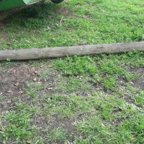 Parks, a report photo