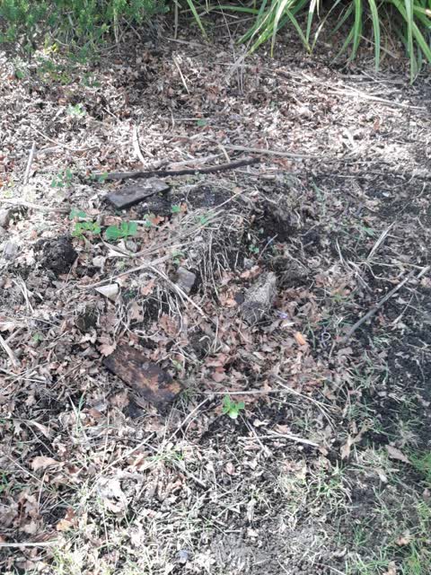 Parks, a report photo