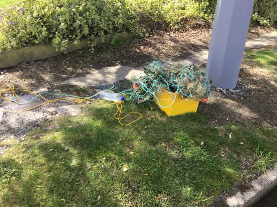 The photograph attached to this rubbish and bins - general report