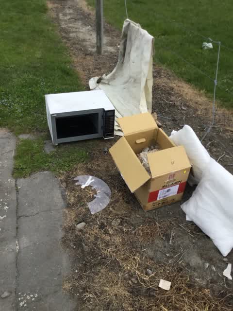 Rubbish and Bins - General, a report photo