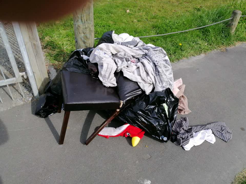 The photograph attached to this rubbish and bins - general report