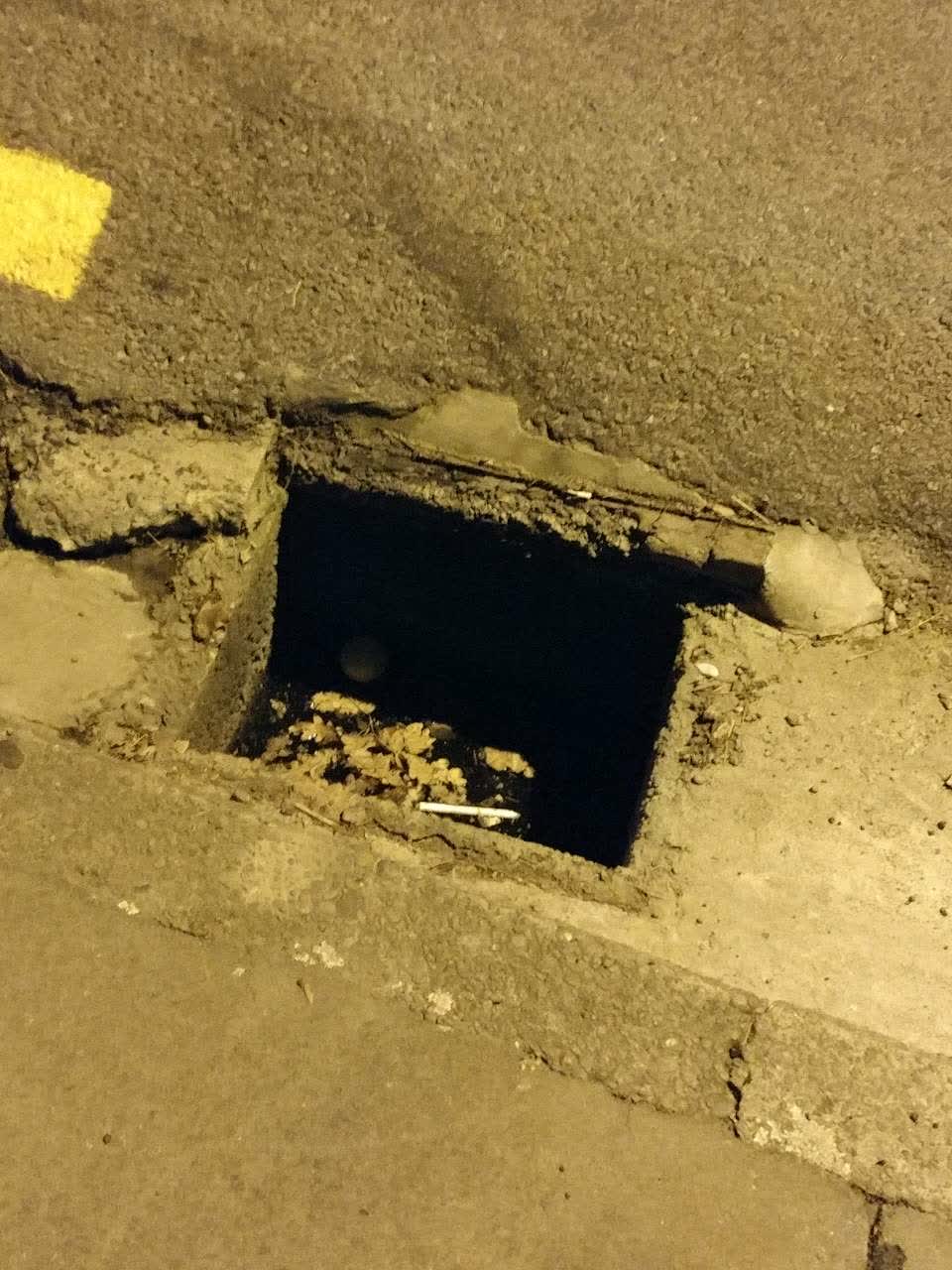 The photograph attached to this street gutters / storm water report
