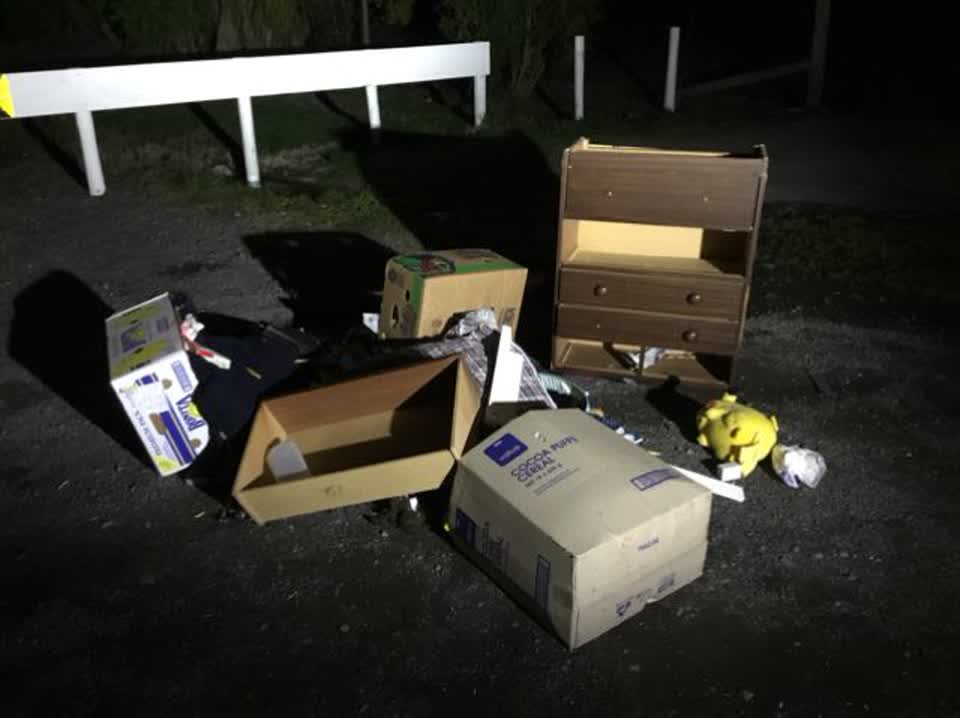 The photograph attached to this litter report