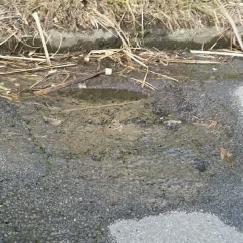 Water General, a report photo