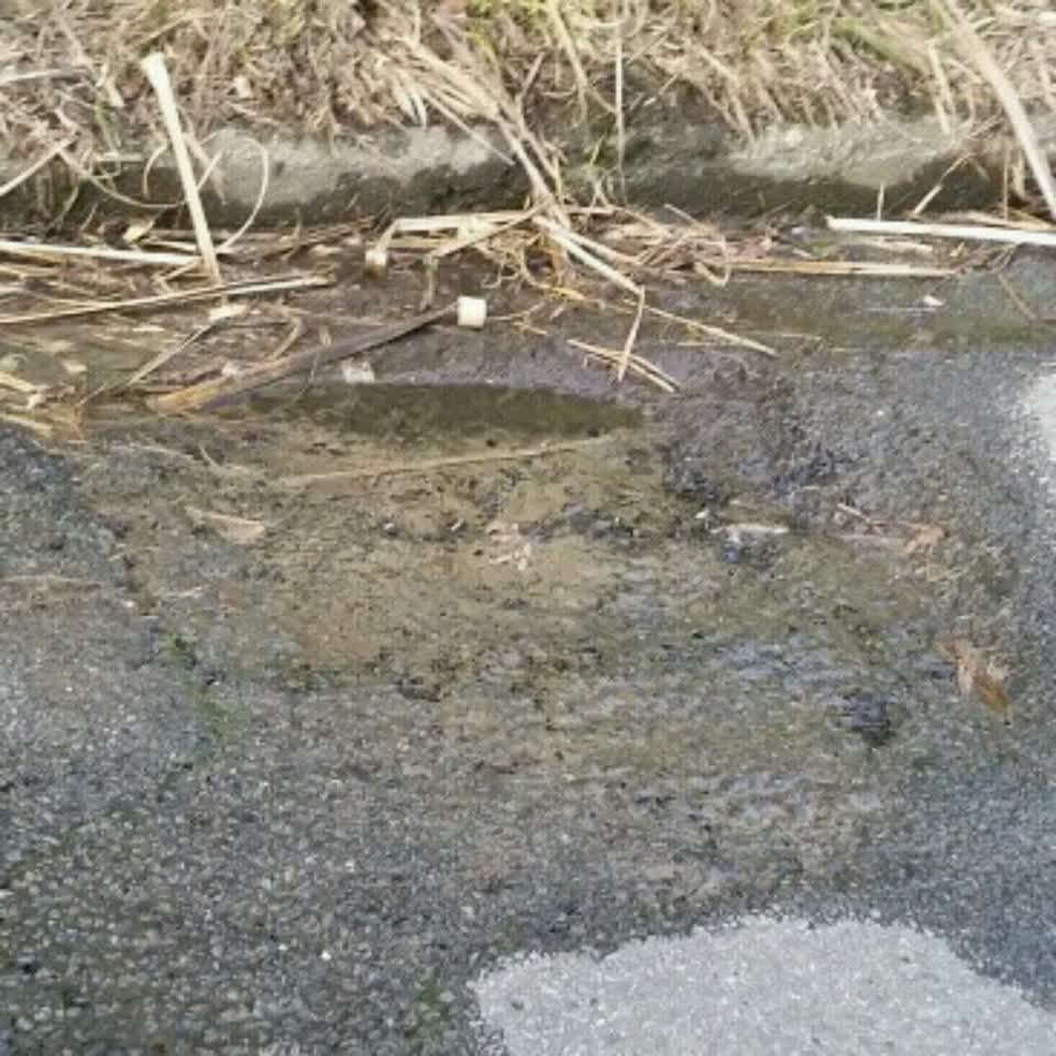 The photograph attached to this water general report