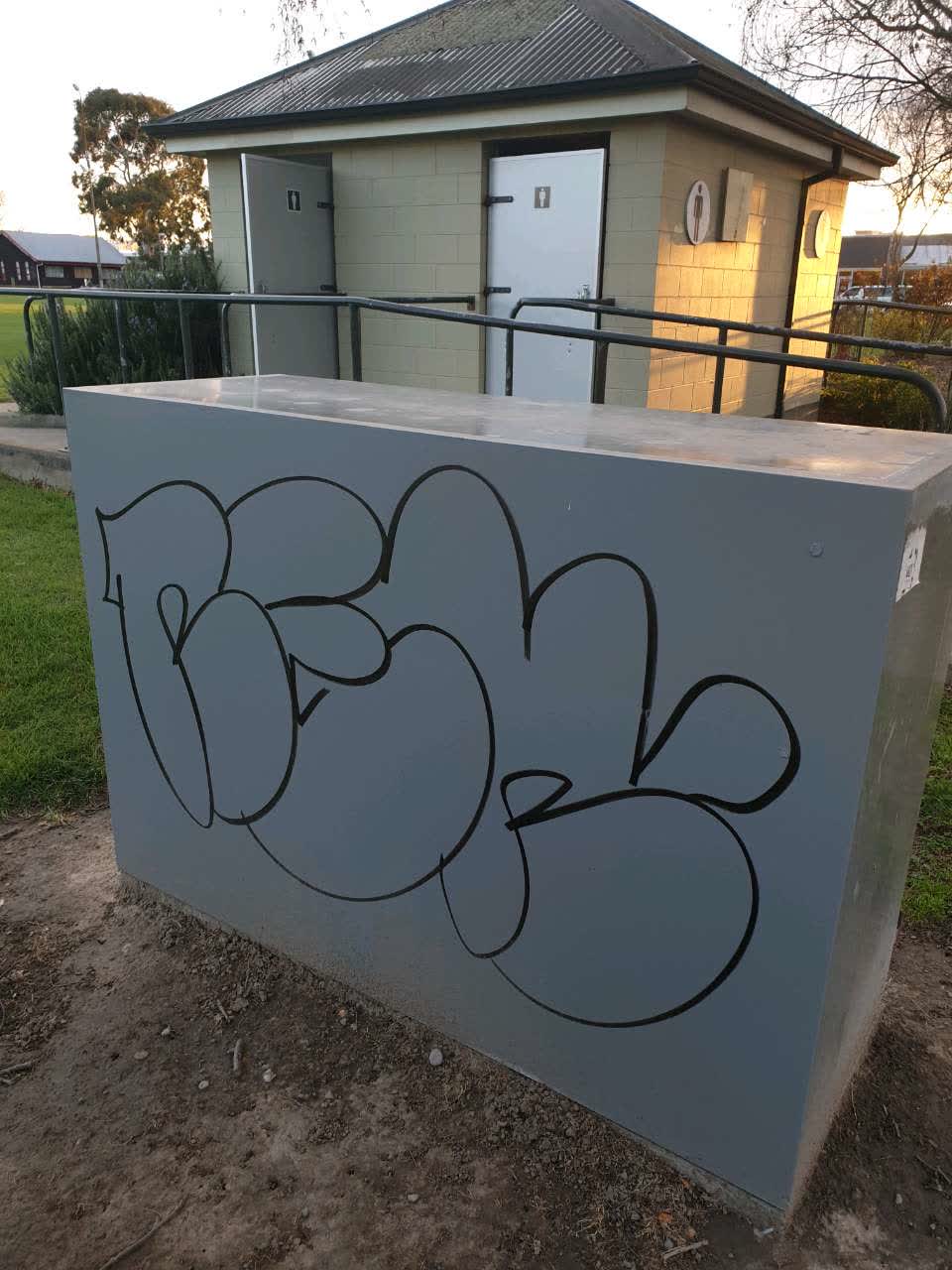 The photograph attached to this graffiti - public property report