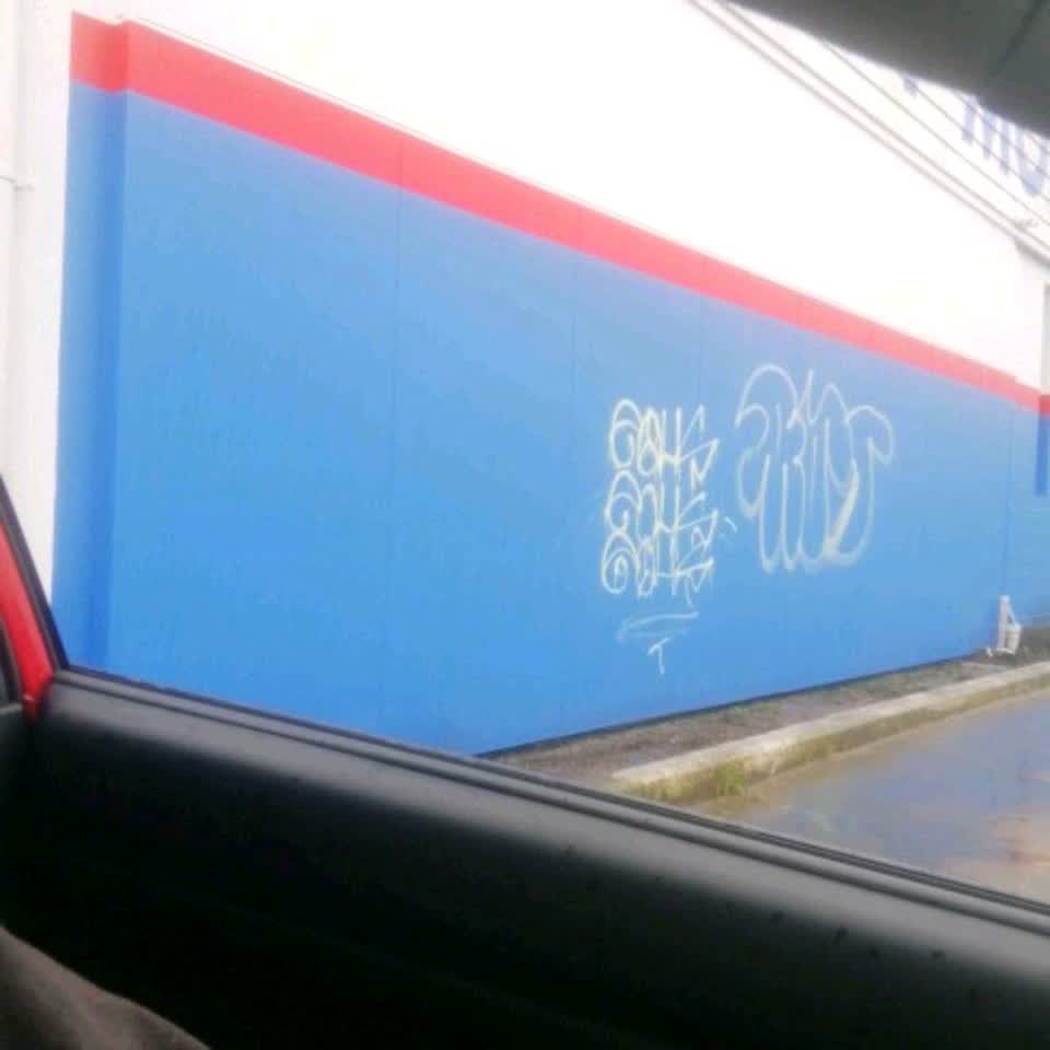 The photograph attached to this graffiti - general report
