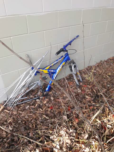 Dumped Rubbish — a report photo
